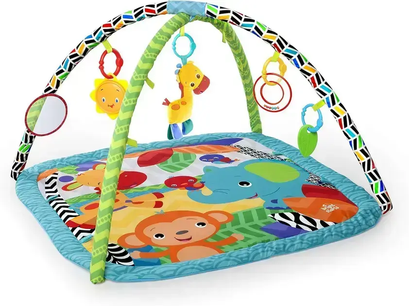 5. Zippy Zoo Activity Gym - Bright Starts